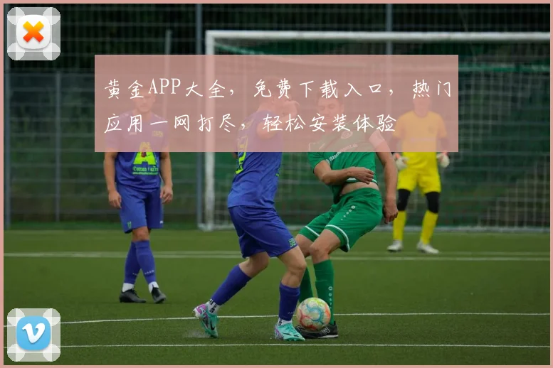 黄金APP大全，免费下载入口，热门应用一网打尽，轻松安装体验