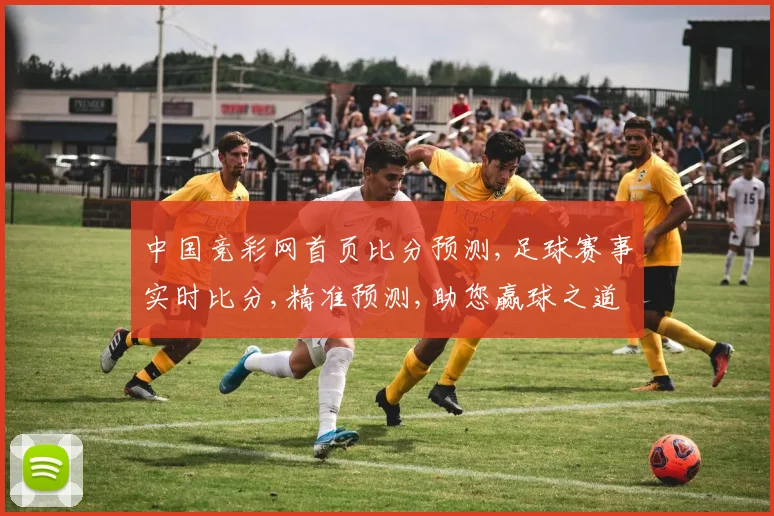 中国竞彩网首页比分预测,足球赛事实时比分,精准预测,助您赢球之道,一网打尽