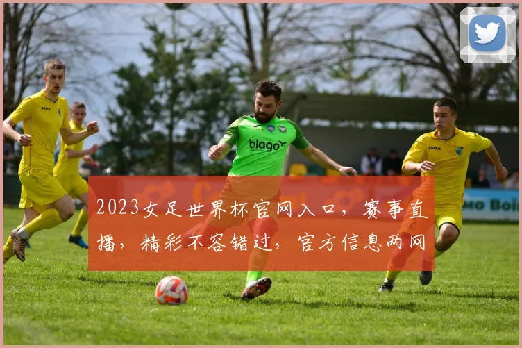 2023女足世界杯官网入口，赛事直播，精彩不容错过，官方信息两网同搜
